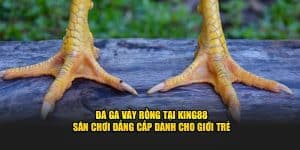 gà vảy rồng